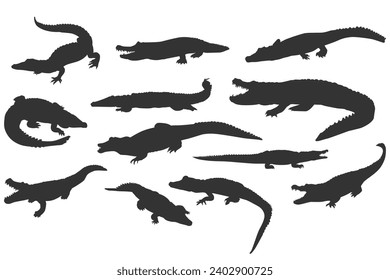 Set of crocodile silhouette, reptile, alligator, predator