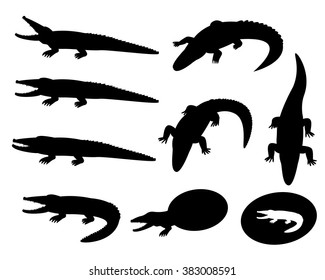Set of crocodile silhouettes on white, vector