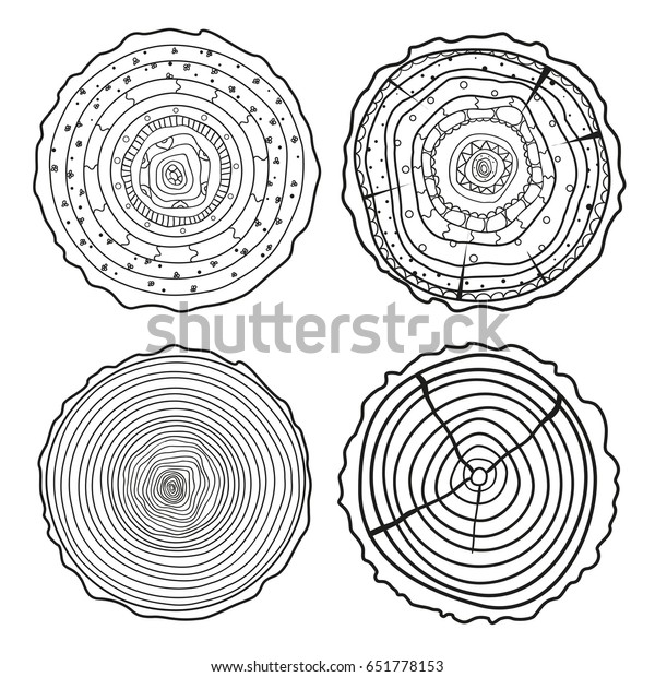 Set Cross Section Tree Set Tree Stock Vector (Royalty Free) 651778153 ...