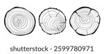 Set of cross sections of tree growth rings. Collection of tree stumps isolated. Slices of tree with growth rings, slabs of tree trunk. Natural wood. Ring pattern, wood texture. Vector design elements