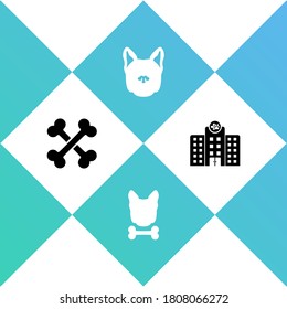 Set Crossed bones, Dog and, and Veterinary medicine hospital icon. Vector.
