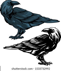 set of crow graphic isolated on white background.