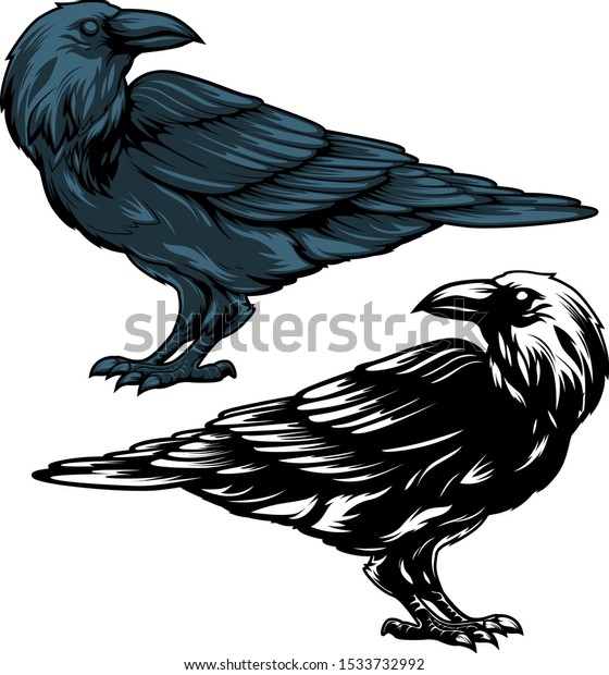 Set Crow Graphic Isolated On White Stock Vector (Royalty Free ...