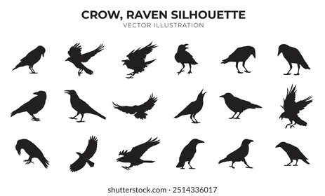 Set of crow raven silhouette vector