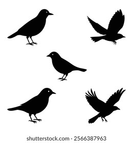 Set of crow silhouette vector