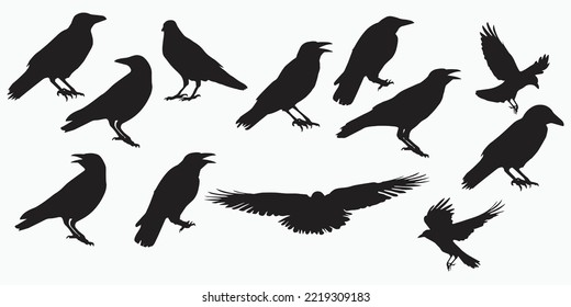 set crow vector illustration in black and white color can be used for background decoration EPS10