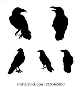 Set of crows, silhouette design elements for halloween. Collection of raven vector illustration