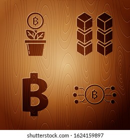 Set Cryptocurrency bitcoin in circle with microchip circuit, Bitcoin plant in the pot, Cryptocurrency coin Bitcoin and Blockchain technology on wooden background. Vector