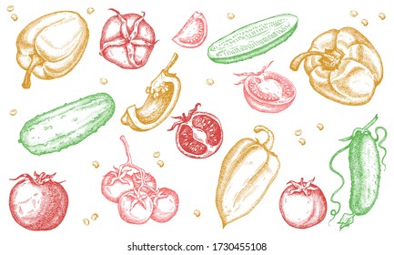 Set of cucumber; tomato; paprica vector illustrations collection isolated on white