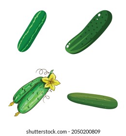 set of cucumber vector, line isolated or logo isolated sign symbol vector, outline and stroke style Collection of high-quality vector illustration,