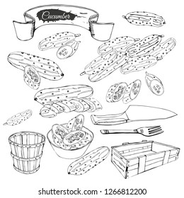 Set of cucumbers, basket and other objects. Monochrome composition. Hand drawn ink sketch isolated on white background. Vector illustration.