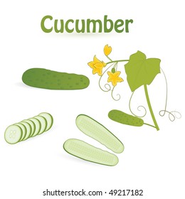 set of cucumbers isolated on an white background