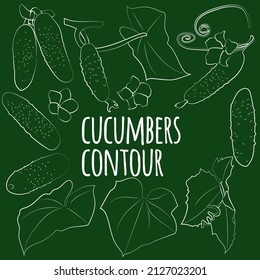 Conjunto de pepinos con hojas y flores, lineales, sólo contorno, sin relleno. Gráficos vectoriales
