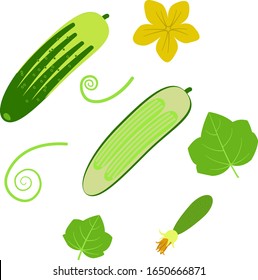 cucumber flower design