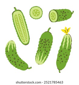 Set of cucumbers and their halves on a white background. Vector graphics.
