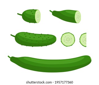 Set of cucumbers - whole, half and sliced. A variety of cucumbers isolated on a white background. Stock vector illustration.