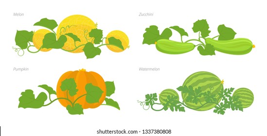 草木瓜 Images Stock Photos Vectors Shutterstock