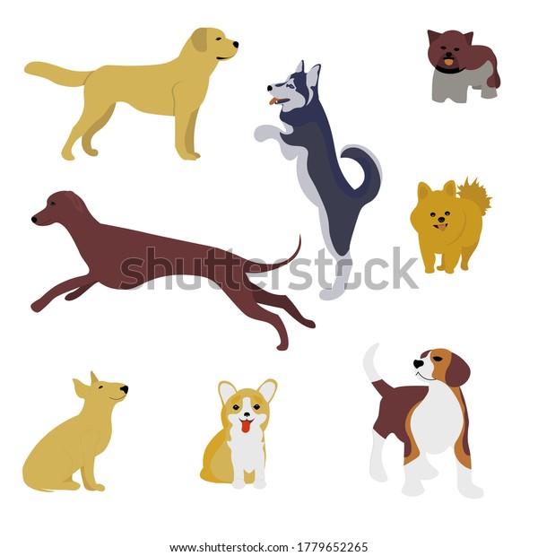 Set Cue Dogs Different Breeds Animal Stock Vector (Royalty Free ...