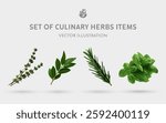 A Set of Culinary Herbs 3D Vector Items: Thyme, Bay Leaf, Rosemary, Basil