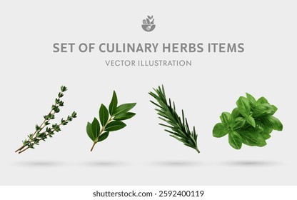 A Set of Culinary Herbs 3D Vector Items: Thyme, Bay Leaf, Rosemary, Basil