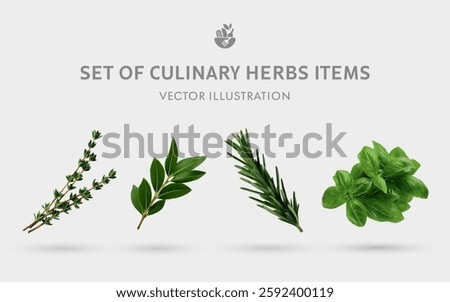 A Set of Culinary Herbs 3D Vector Items: Thyme, Bay Leaf, Rosemary, Basil