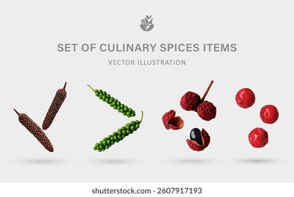 A Set of Culinary Spices 3D Vector Items: Long Pepper, Green, Sichuan, Pink Peppercorns