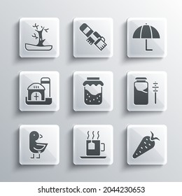 Set Cup of tea with tea bag, Carrot, Jar honey and dipper stick, Jam jar, Little chick, Farm house, Bare tree and Umbrella icon. Vector