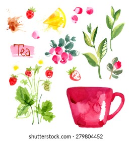 Set cup of tea and berries, a drink made from herbs, strawberries and tea. Drawing watercolor