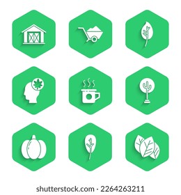 Set Cup of tea, Leaf or leaves, Tree, Pumpkin, Human head with leaf,  and Farm house icon. Vector