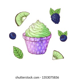 Set cupcake blueberry blackberry kiwi. Vector illustration. Hand drawing.