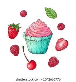 Set cupcake raspberry strawberry cherry, hand drawing. Vector illustration