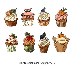 A set of cupcakes with autumn berries and fruits A doodle-style. Dessert banner. Cup cake vector. Dessert banner. Homemade white cake. Cup cakes isolated. Print for fabric, packaging, label.