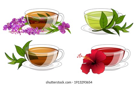 Set of cups with different types of tea. Green, black, willow-herb, hibiscus tea.