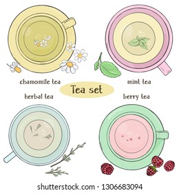 Set with cups of tea. Chamomile, mint, herbal and berry tea. Colorful vector illustration in sketch style. Food ingredients, aromatherapy, cooking. For restaurant menu, processing, health care. The
