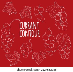 Set of currant with leaves, linear, outline only, no fill. Vector graphics