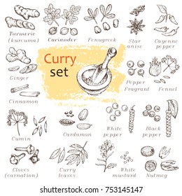 A set of curry spices. Hand-drawn illustration. Design elements for packaging, invitations, shopping and advertising products of a healthy lifestyle.