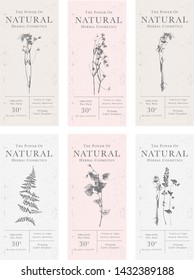 Set of customizable labels of Natural organic herbal products. Vintage packaging design collection for Cosmetics, Pharmacy, healthy food. Dried leaves, real herbarium