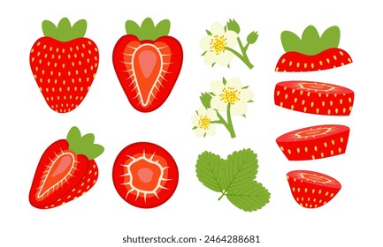 Conjunto de fresas cortadas y florecientes con flores. Ilustración vectorial aislada sobre fondo blanco