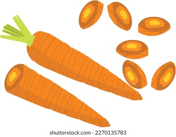 A set of a cut carrot, a carrot and slices
