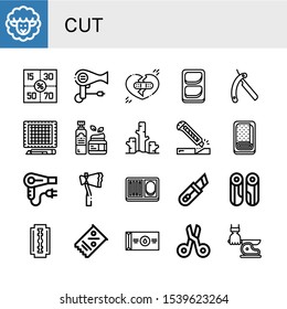 Set of cut icons. Such as Lamb, Coupons, Hair dryer, Broken heart, Chicken breast, Shaving razor, Cutting mat, Moisturizer, Deforestation, Cutter, Meatloaf, Axe, Meal , cut icons