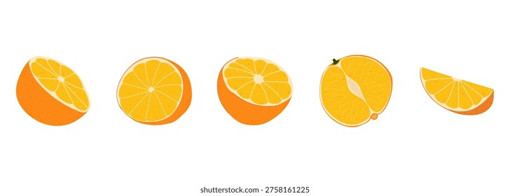 Set of cut orange fruit illustrations with halves and slices in different angles, flat vector style with grainy texture. Fresh citrus fruits for healthy eating, juices and product design.