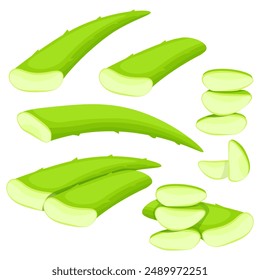 Set of cut pieces of Aloe Vera succulent leaves