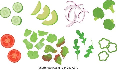 Conjunto de vegetais cortados para salada, sanduíche. Pepino, tomate, abacate, cebola, alface, brócolis, pimenta verde, rúcula. Ilustração de vetor desenhada à mão.