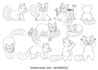 Set of cute adorable red panda in different poses cartoon design animal character flat vector style illustration on white background outline style