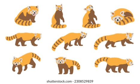 Juego de adorables pandas rojas adorables en diferentes poses diseño de carácter animal tipo vectorial plano ilustración de fondo blanco