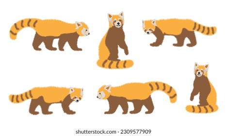 Set of cute adorable red panda in different poses design animal character flat vector style. Adorable Red Panda as Small Fluffy Mammal with Dense Reddish-brown Fur Tail in Different Pose Vector Set