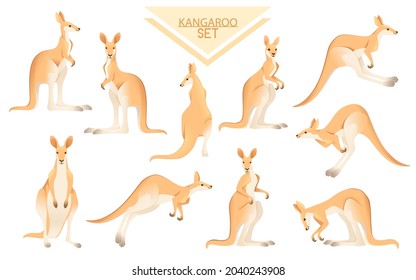 Set of cute adult kangaroo australian animal cartoon animal design vector illustration on white background