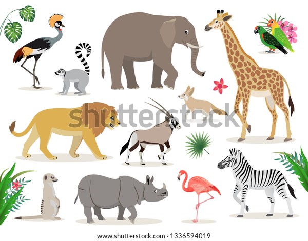 Set of cute African animals icons isolated\
on white background, crowned crane, lemur, elephant, giraffe, lion,\
antelope, zebra, suricate, rhinoceros, flamingo lovebirds fennec\
vector illustration