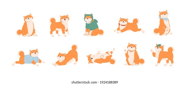 Set of cute Akita Inu dogs in various postures. Funny Japanese Shiba Inu puppies waxing with paw, lying, running, playing and sitting. Colored kawaii flat vector illustration isolated on white