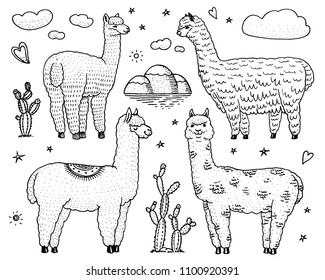 Set of cute Alpaca Llamas or wild guanaco on the background of Cactus and mountain. Funny smiling animals in Peru for cards, posters, invitations, t-shirts. Hand drawn Elements. Engraved sketch.